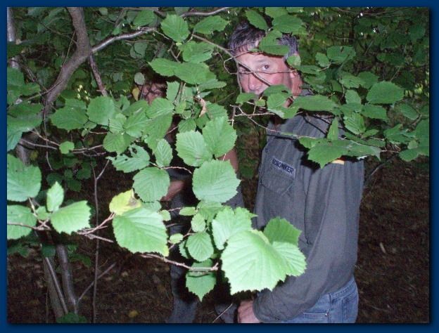 600x449 pixels (165K)